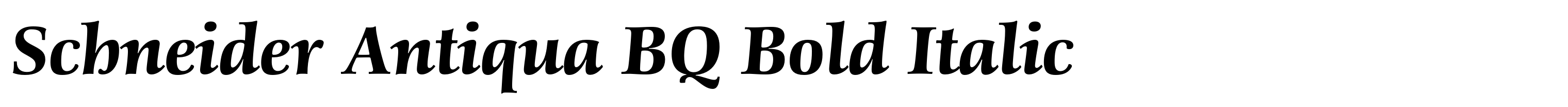 Schneider Antiqua BQ Bold Italic